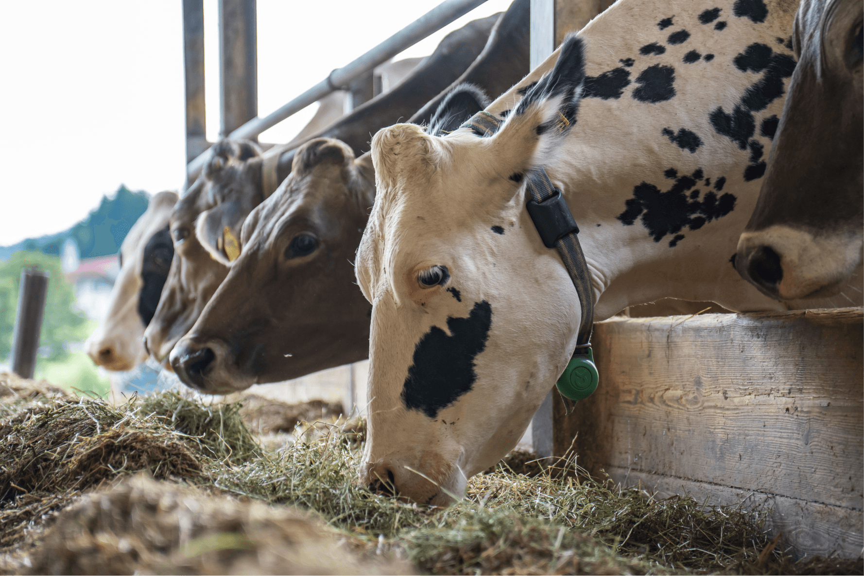 Higher farm profitability icon